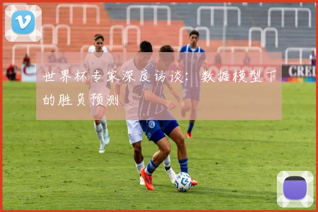 世界杯专家深度访谈:数据模型下的胜负预测
