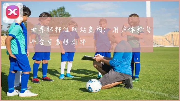 世界杯押注网站查询:用户体验与平台可靠性测评