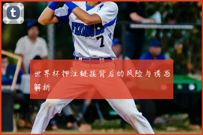 世界杯押注链接背后的风险与诱惑解析