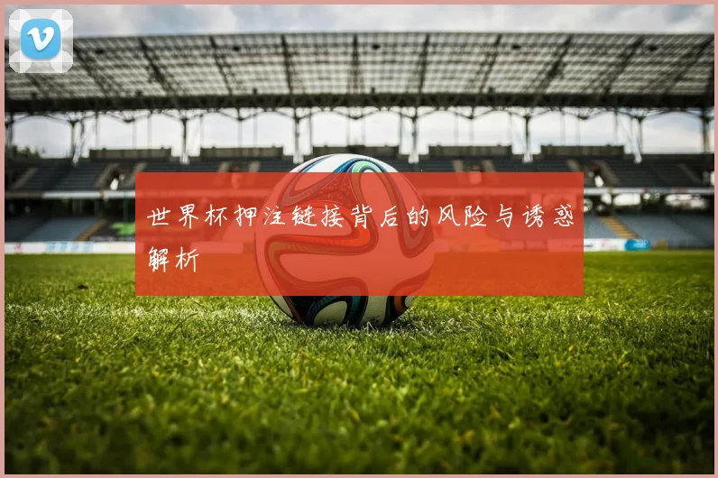 世界杯押注链接背后的风险与诱惑解析