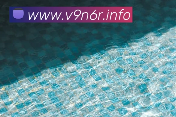 九游网站发展历程